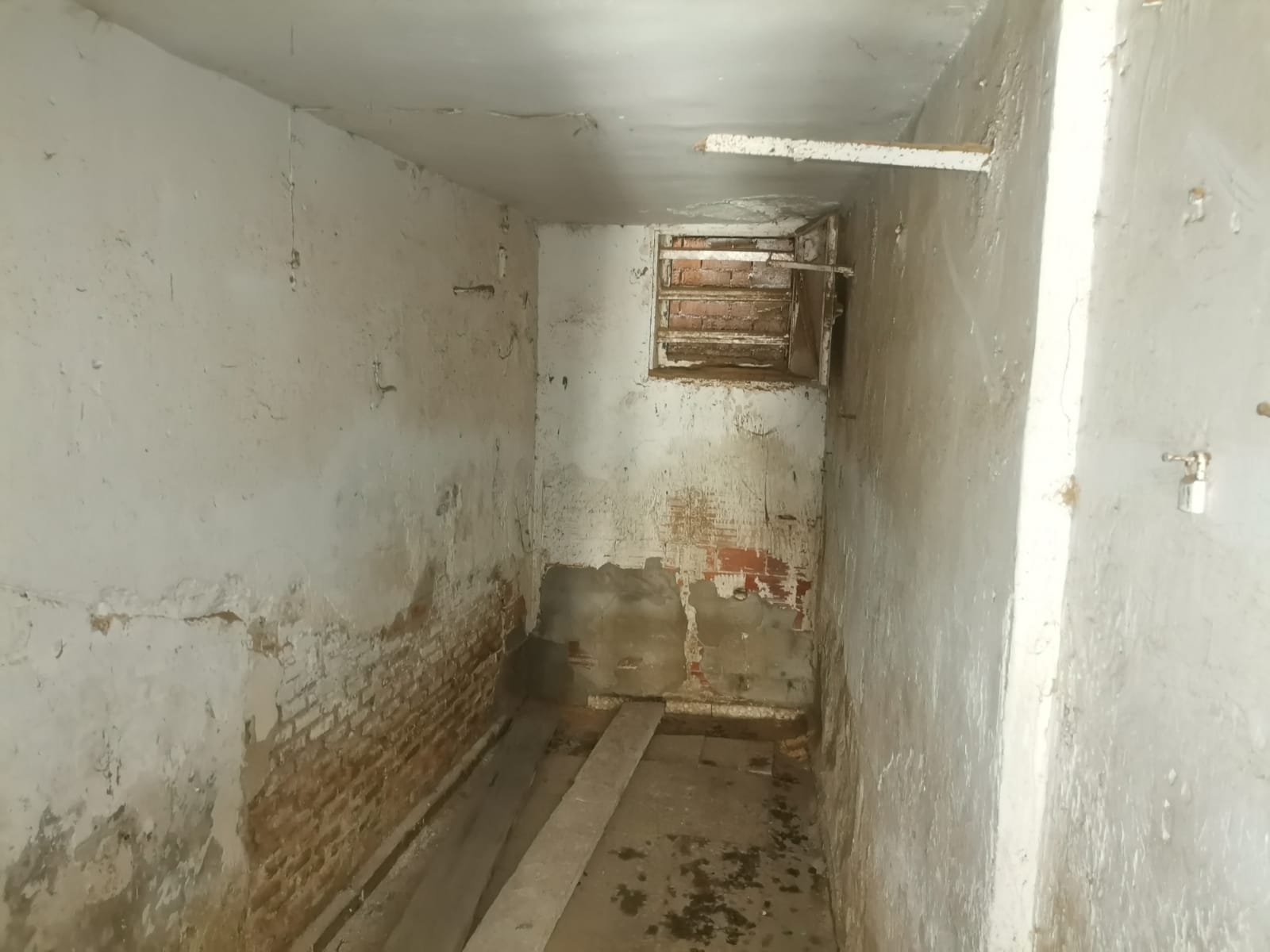 WhatsApp Image 2025-01-31 at 08.08.34 (1)