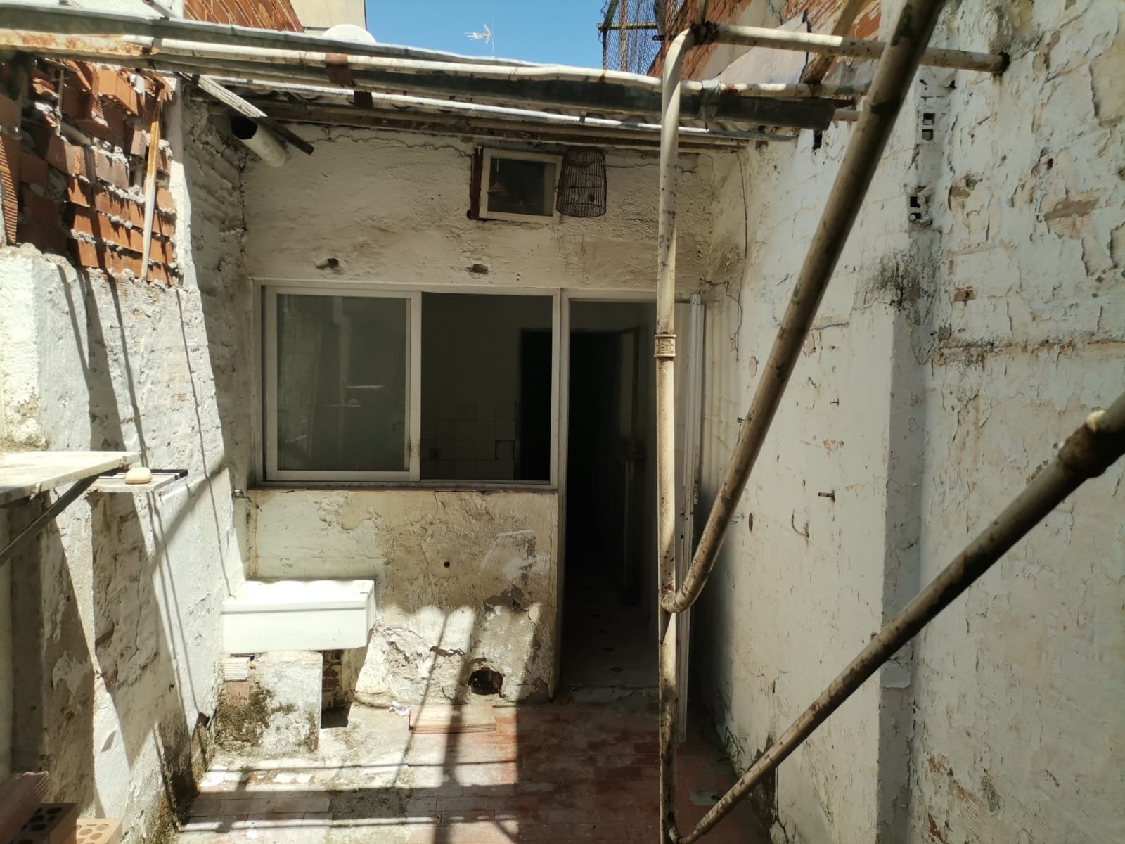 WhatsApp Image 2025-01-31 at 08.08.35 (1)