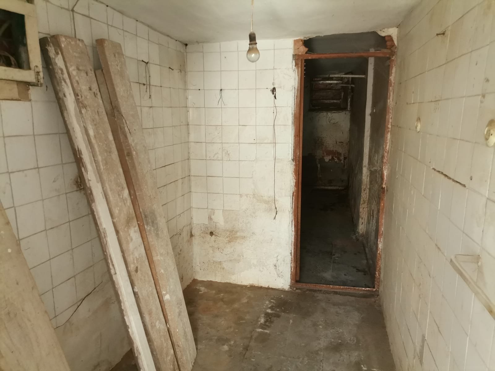 WhatsApp Image 2025-01-31 at 08.08.35