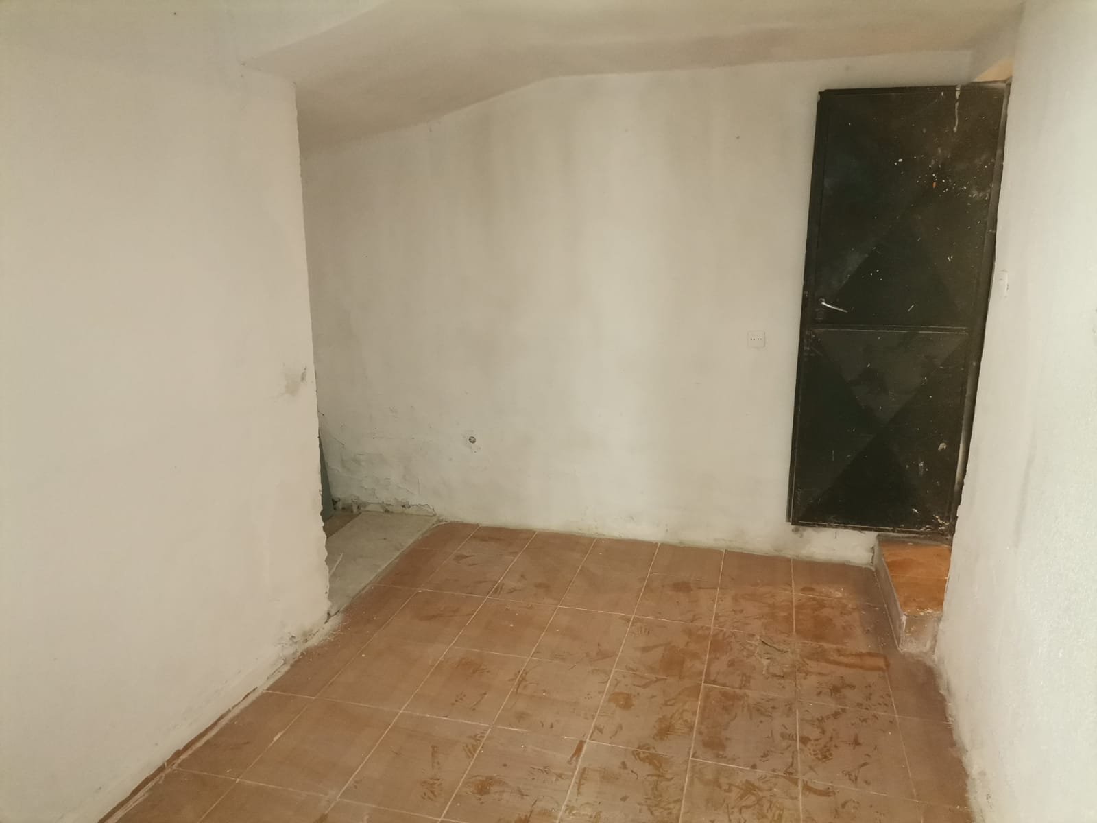 WhatsApp Image 2025-01-31 at 08.08.36 (1)