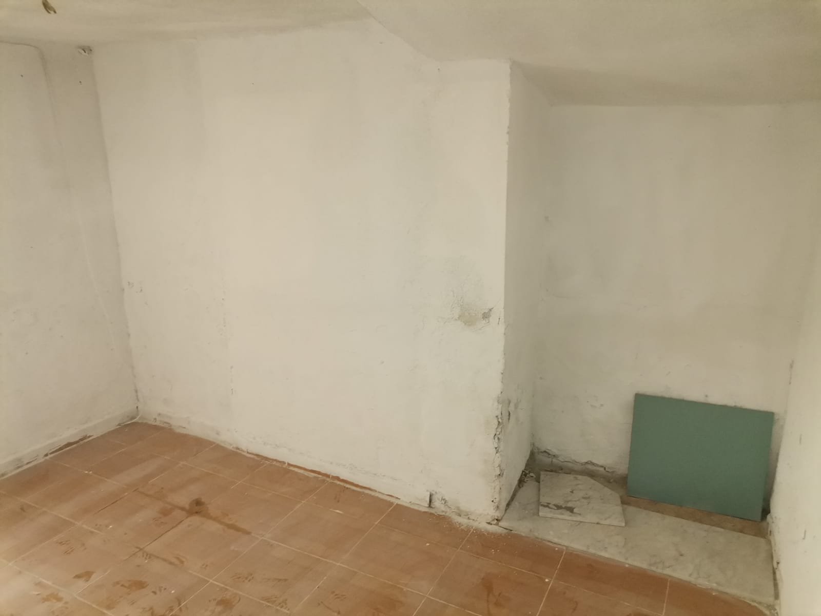 WhatsApp Image 2025-01-31 at 08.08.36 (4)