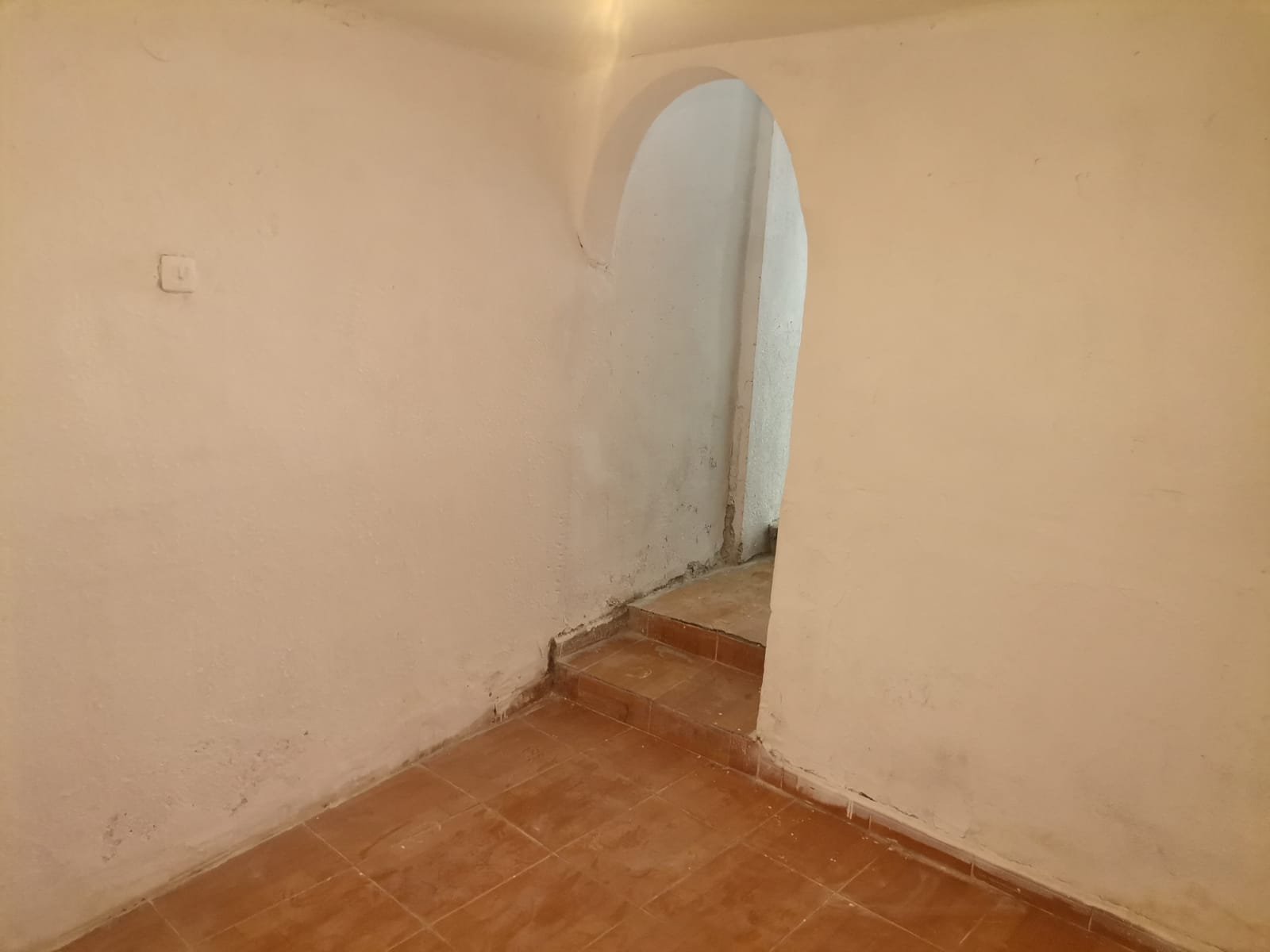 WhatsApp Image 2025-01-31 at 08.08.37