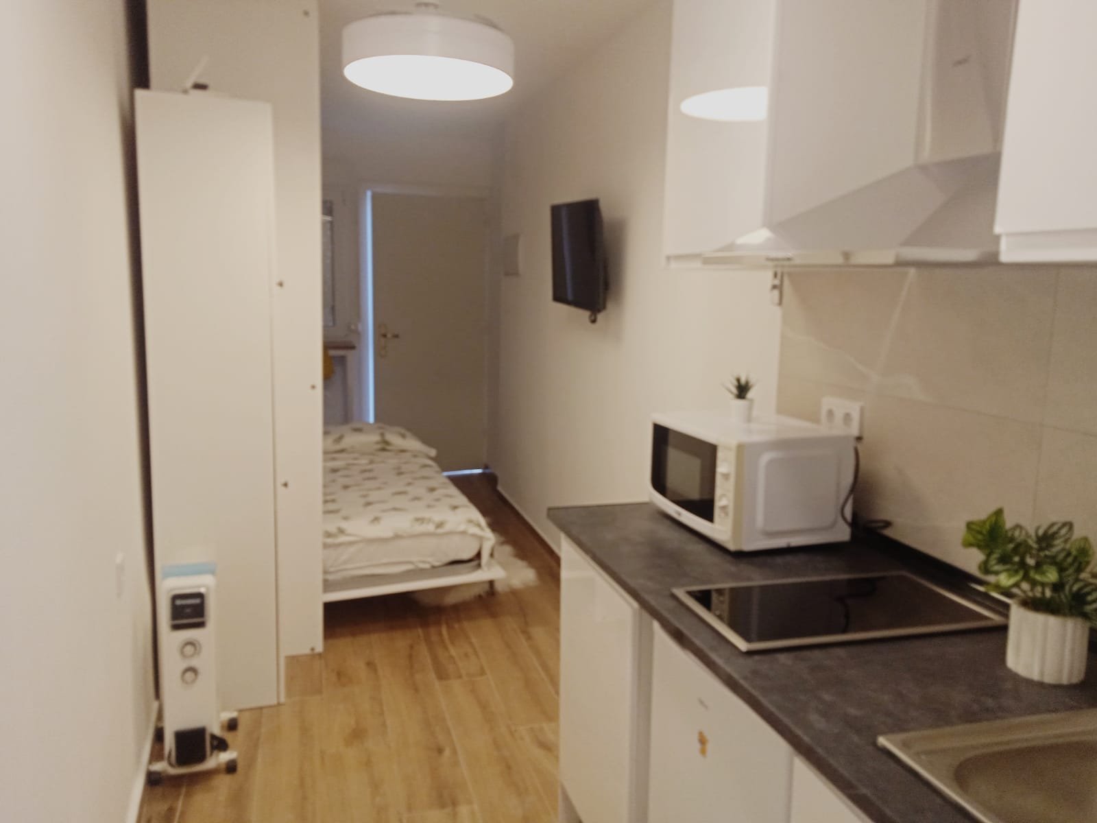 WhatsApp Image 2025-01-31 at 08.11.33 (1)