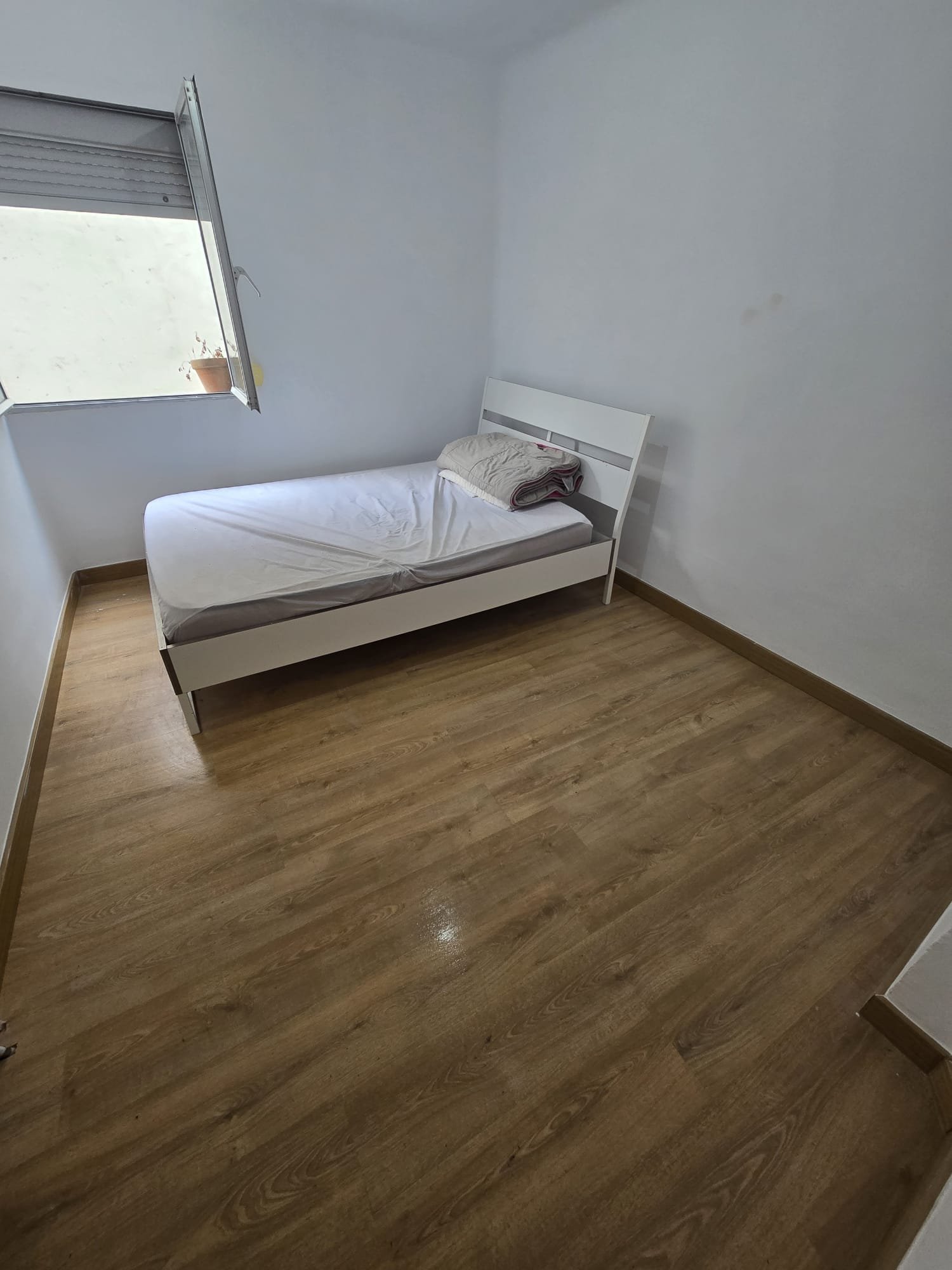 WhatsApp Image 2025-01-28 at 06.51.27